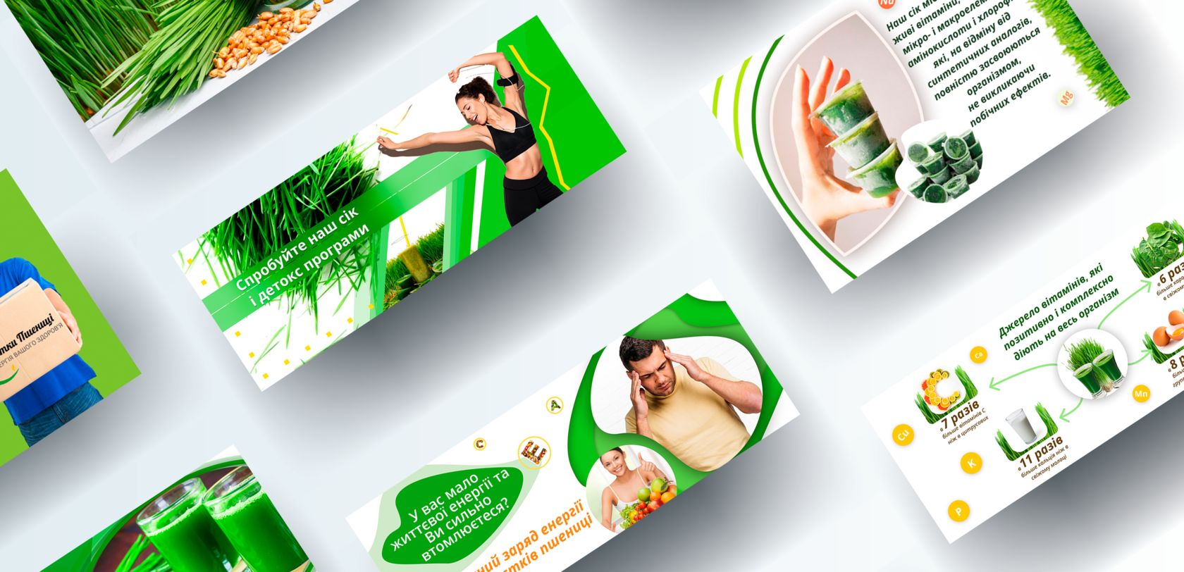 Паростки пшениці